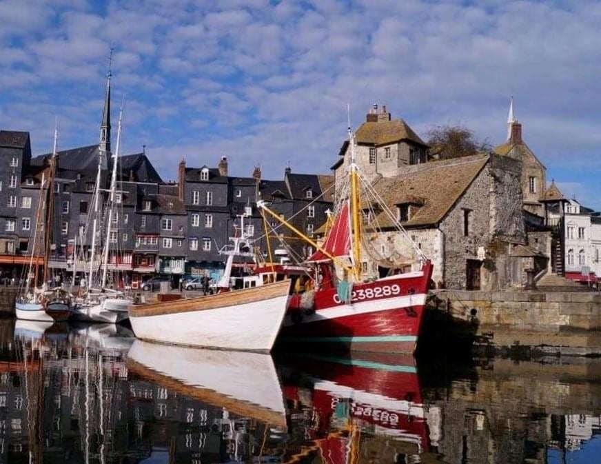 Les Mouettes Du Port Leilighet Honfleur Eksteriør bilde